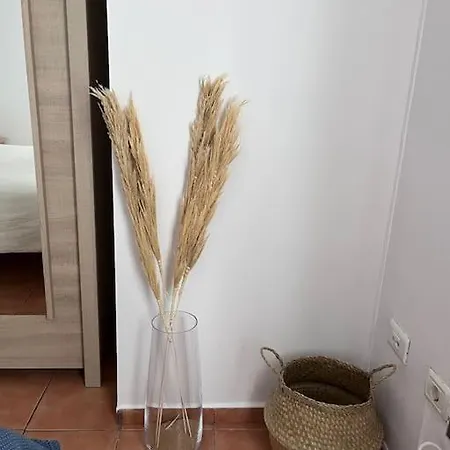 Casa Lunita